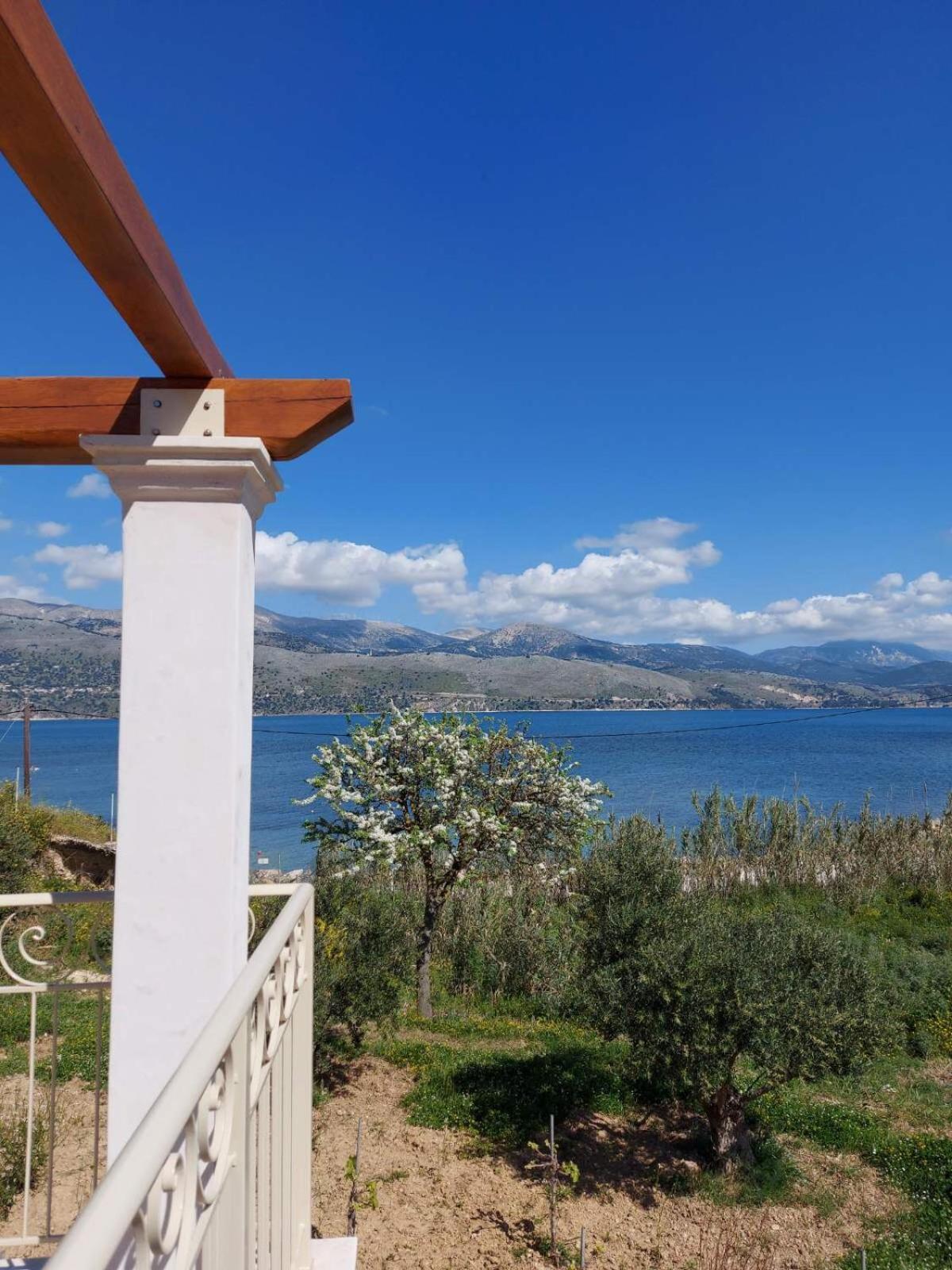 Apollonides Seafront Villa1 Aoede Lixouri Exterior photo